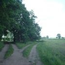 Scheideweg an der Landesgrenze Brandenburg - Sachsen