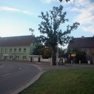 Dorfplatz mit Denkmal und Friedenseiche - Zentrum von Kröbeln.